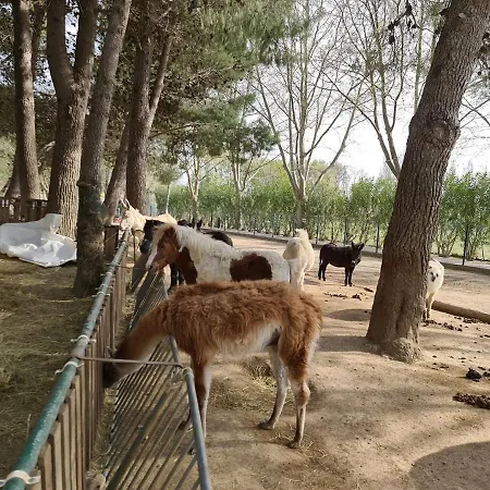 Location De Dans Maison Catalane * Bompas (Pyrenees-Orientales)